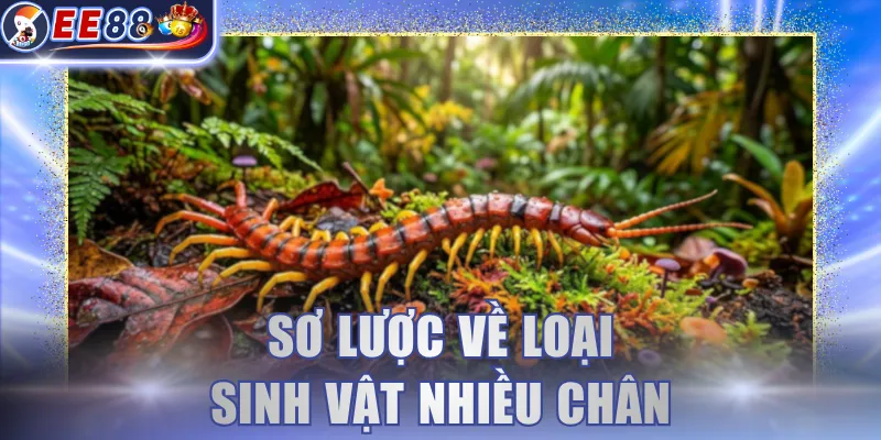 Sơ lược về loại sinh vật nhiều chân